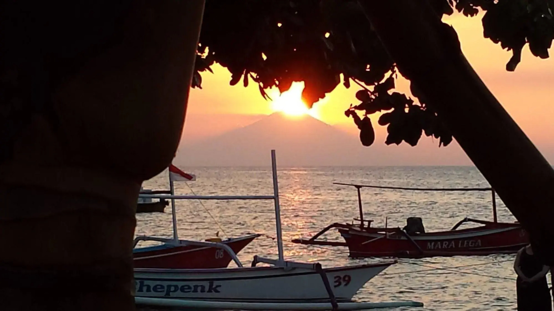 Starlight Hotel Lovina