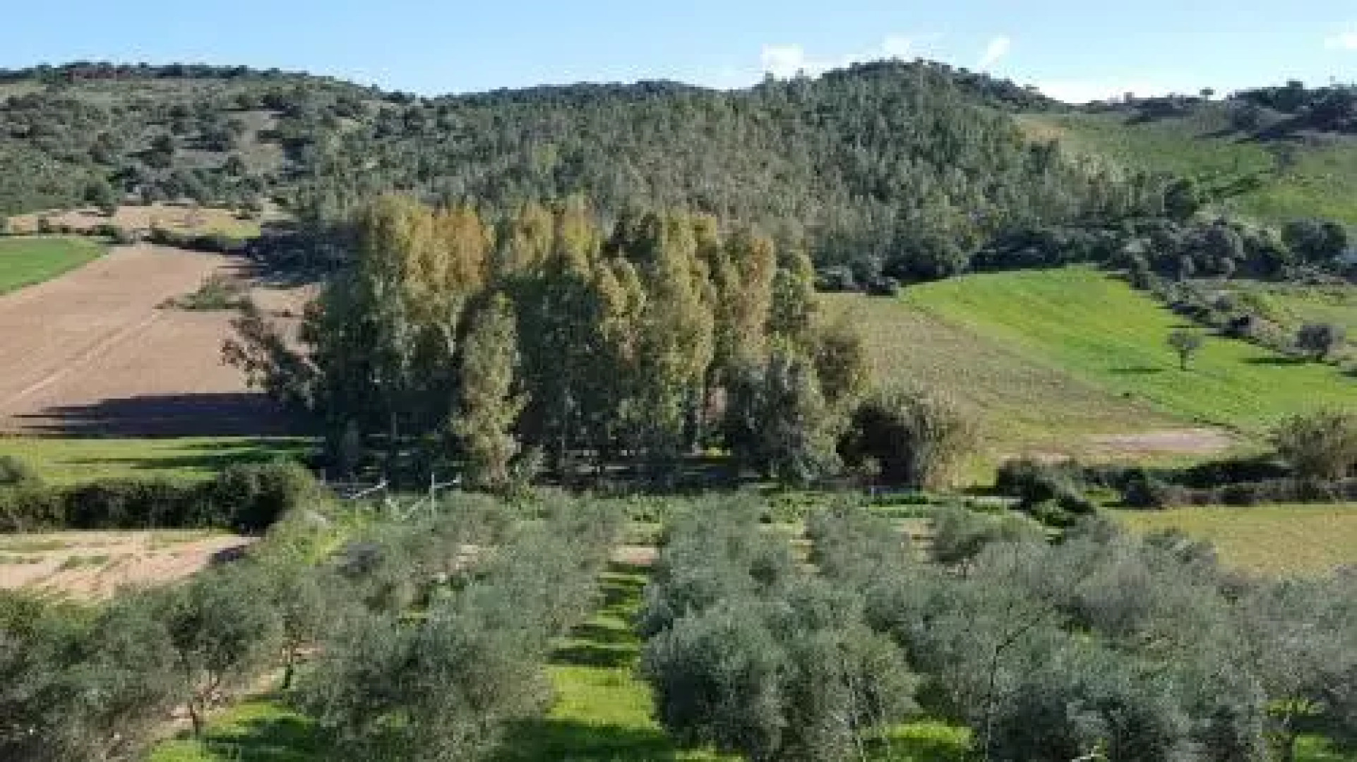 Il Giardino Vista Mare