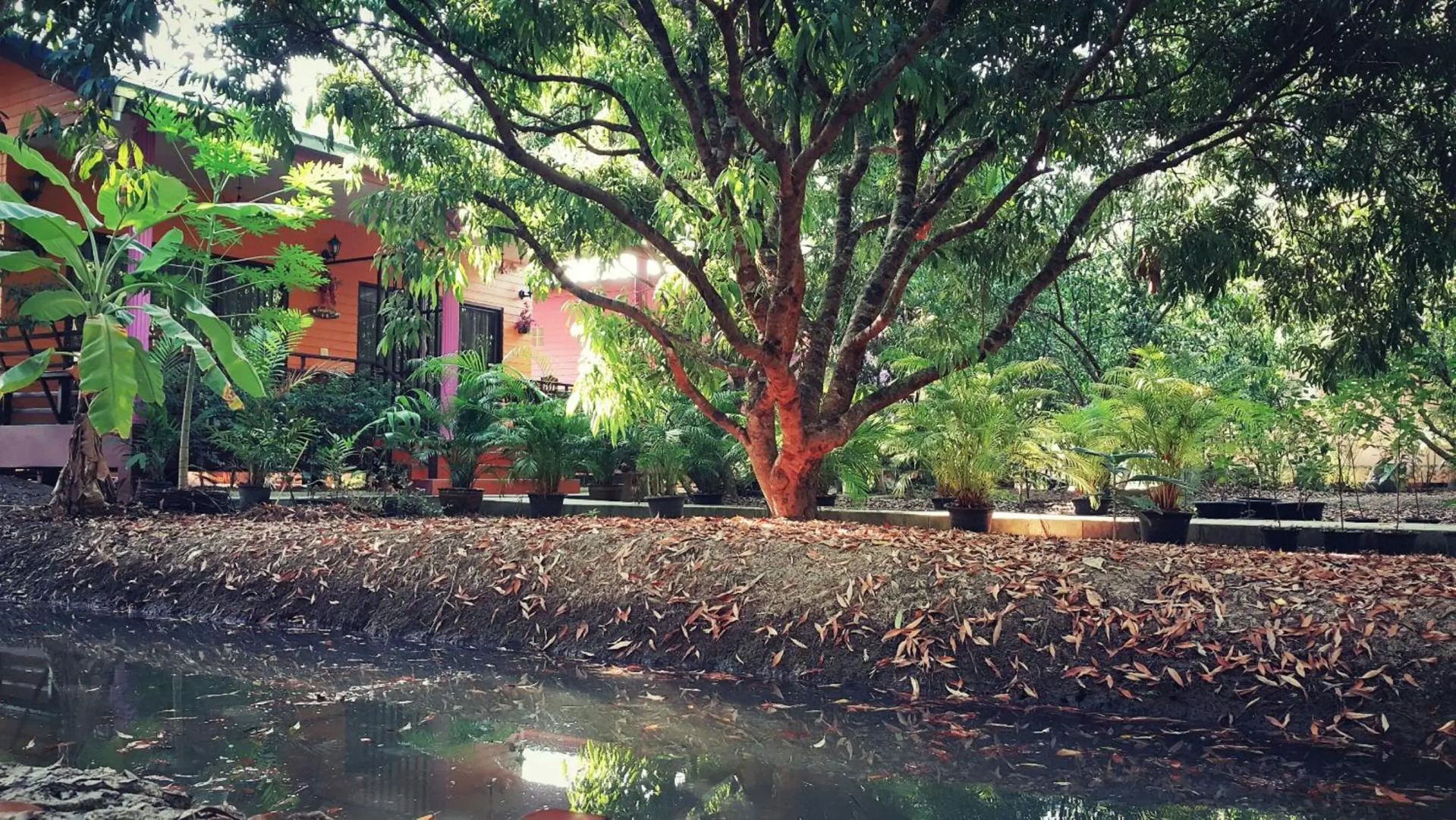 Warakorn Baansuan - Amphawa