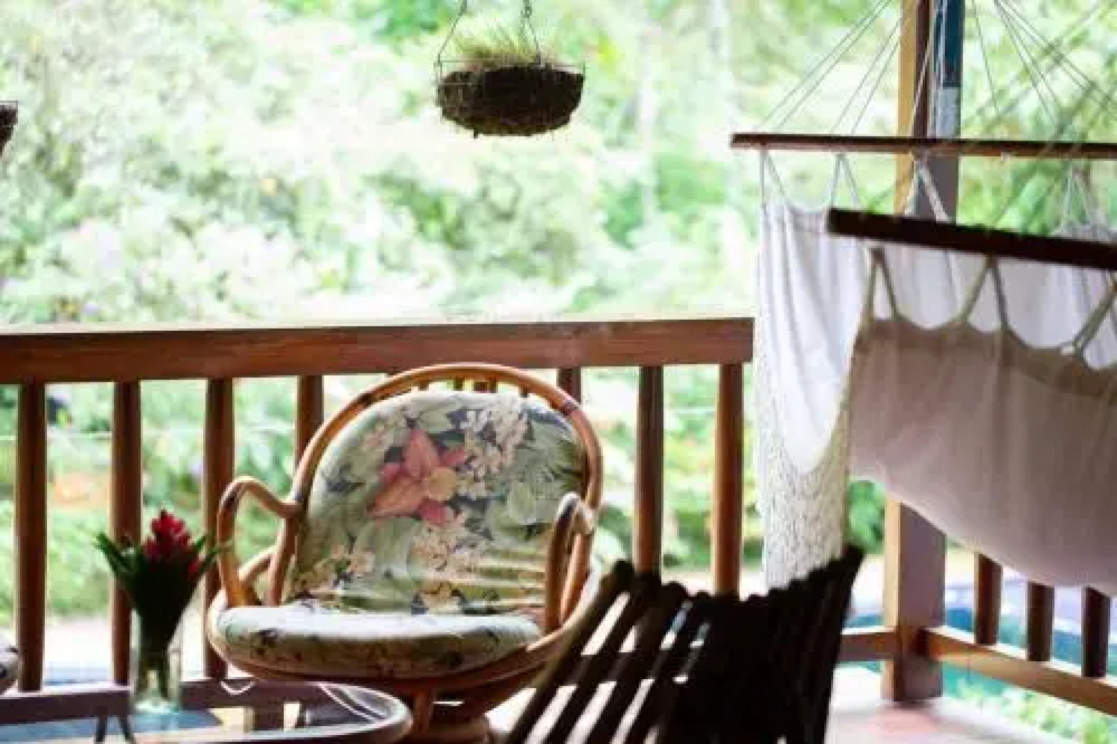 El Abrazo del Arbol - Farm Eco Lodge