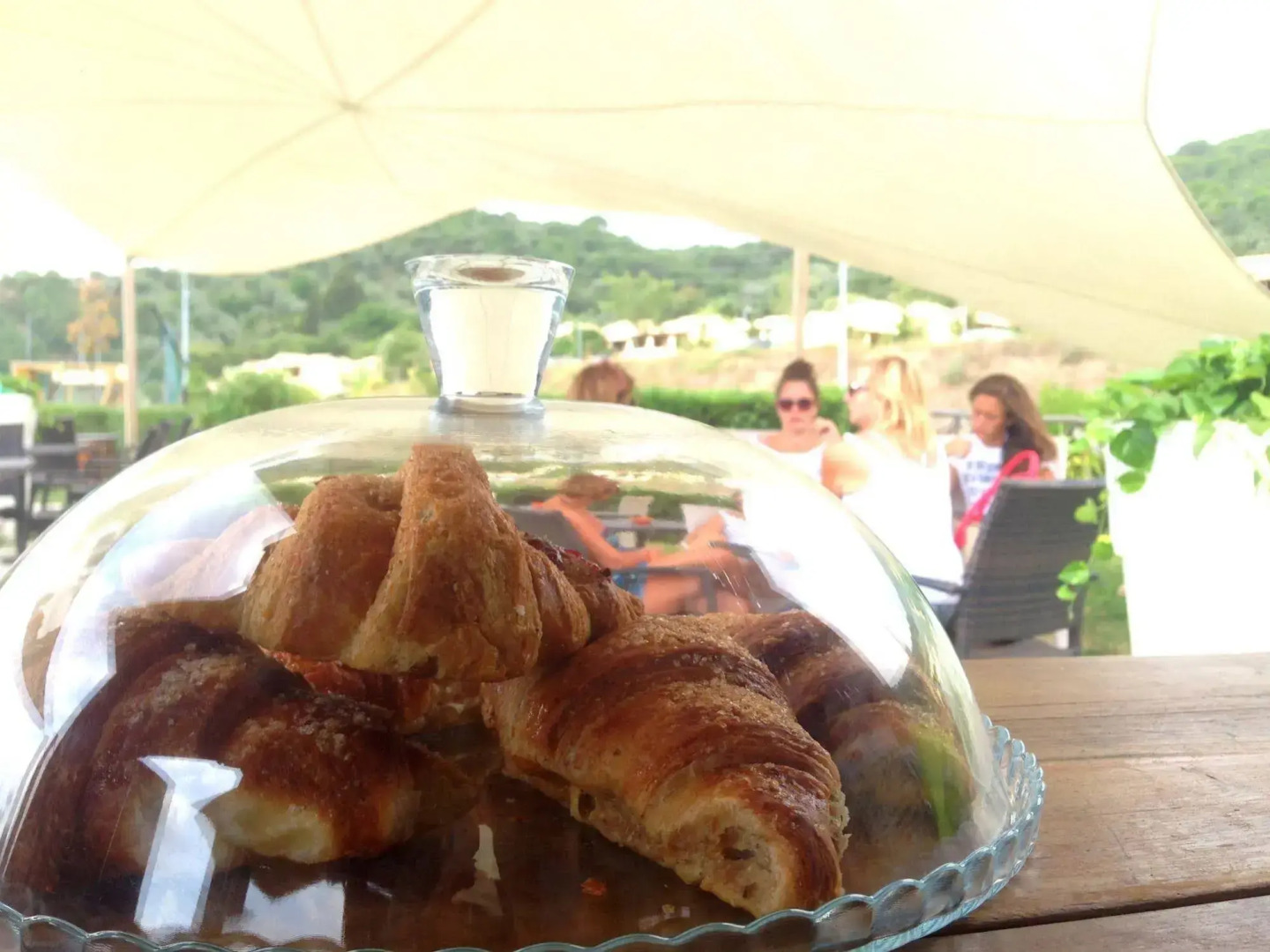 Le Corti Di Montepitti