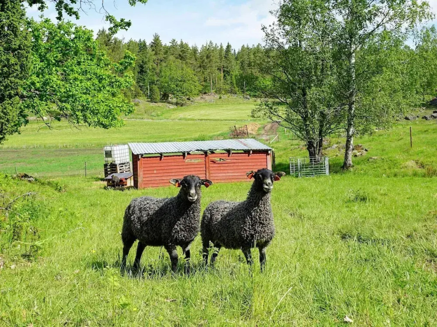 5 Person Holiday Home in Mellosa