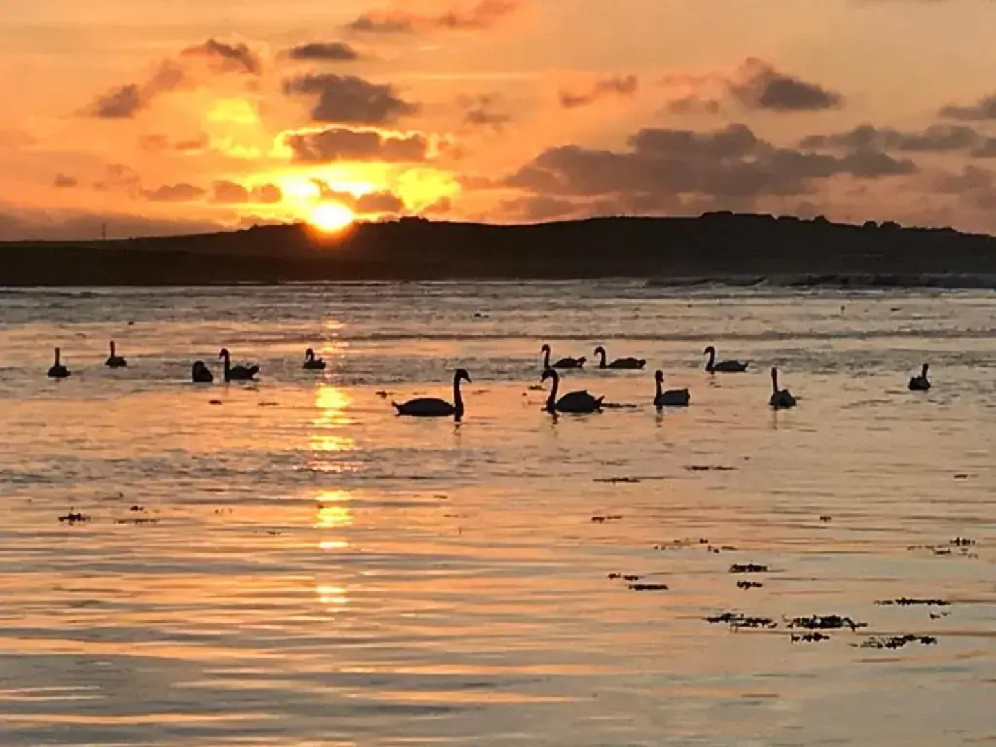 Doonbeg Holiday Cottages