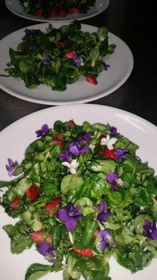 Agriturismo La Selva