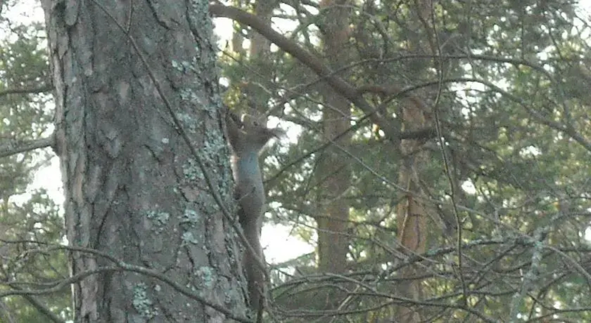 Võsu Gästewohnung - Lahemaa Nationalpark