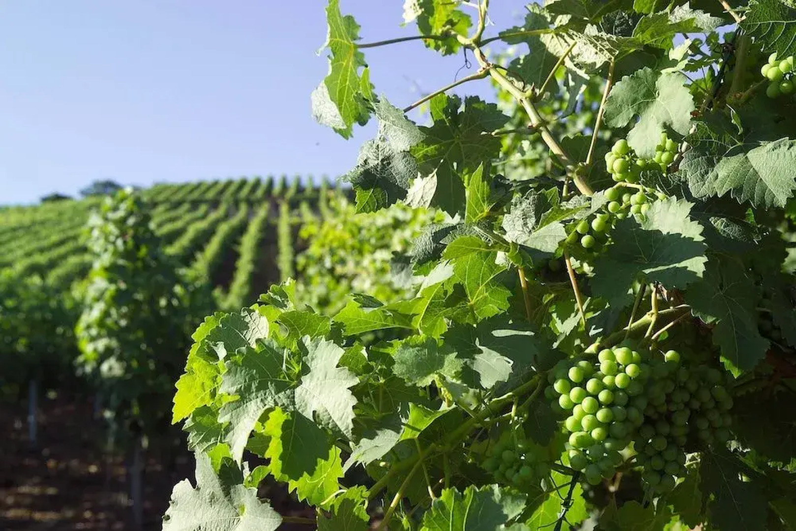Hotel Restaurant Zum Nachtwächter