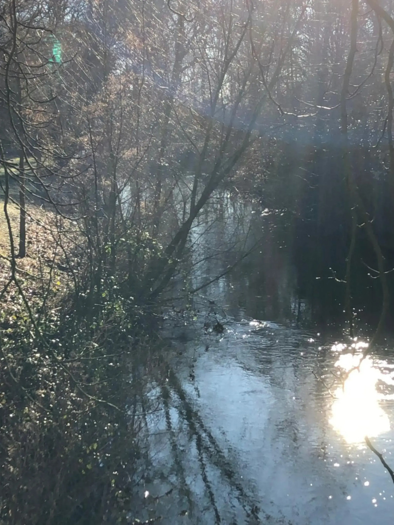 Hotel am Doktorplatz