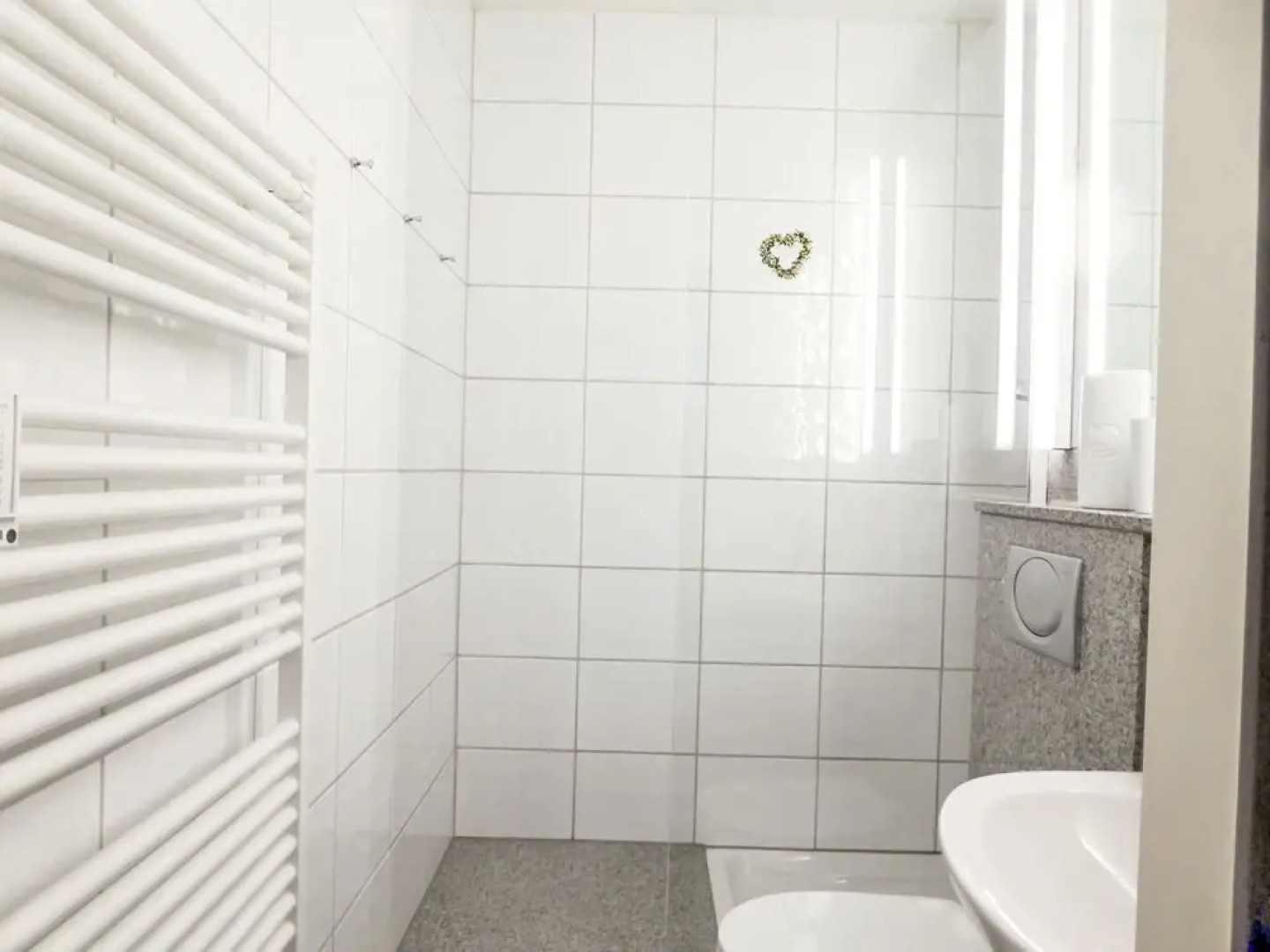 A805 Lahnstein in Lahnstein