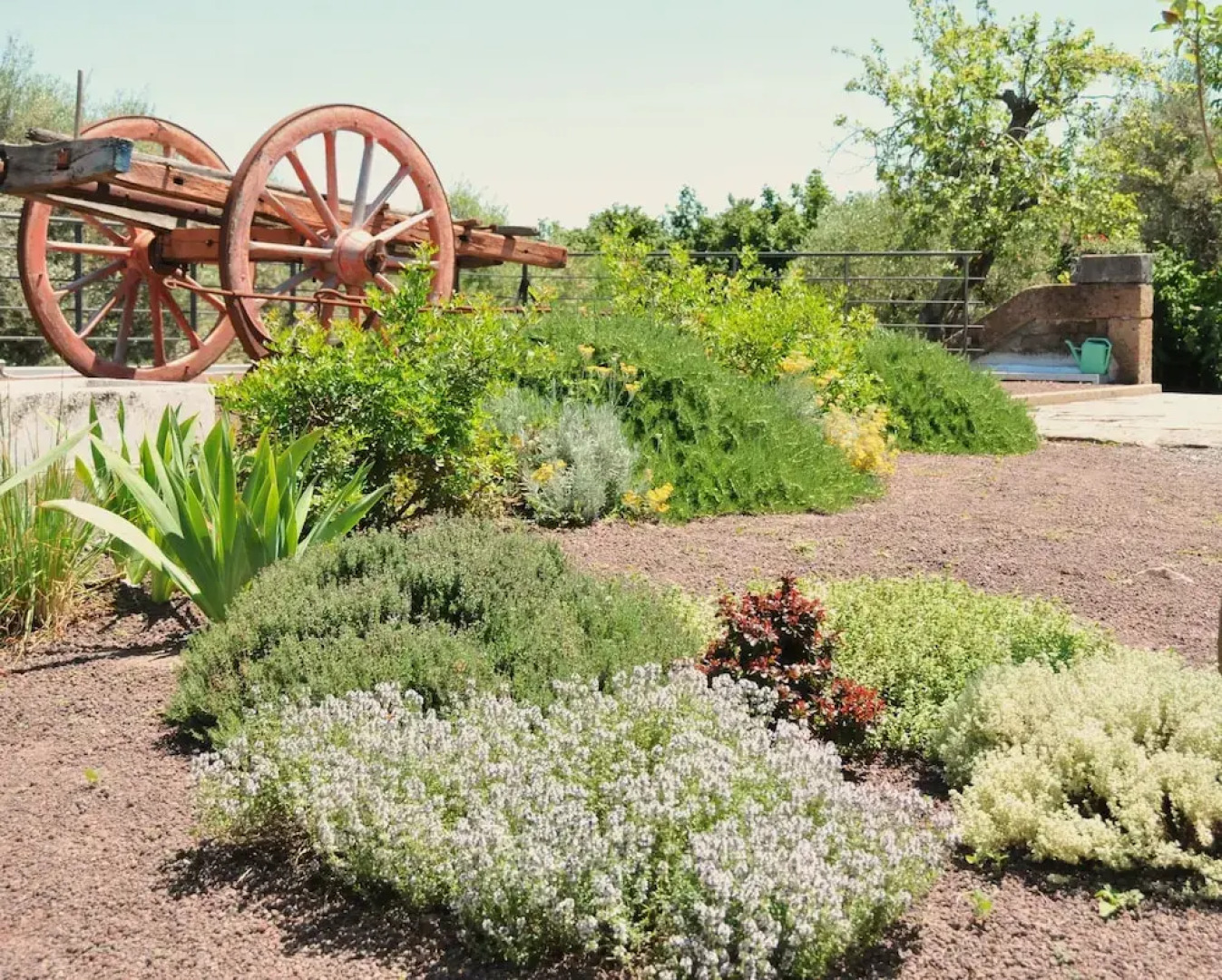 Fonte dell' Vsignolo