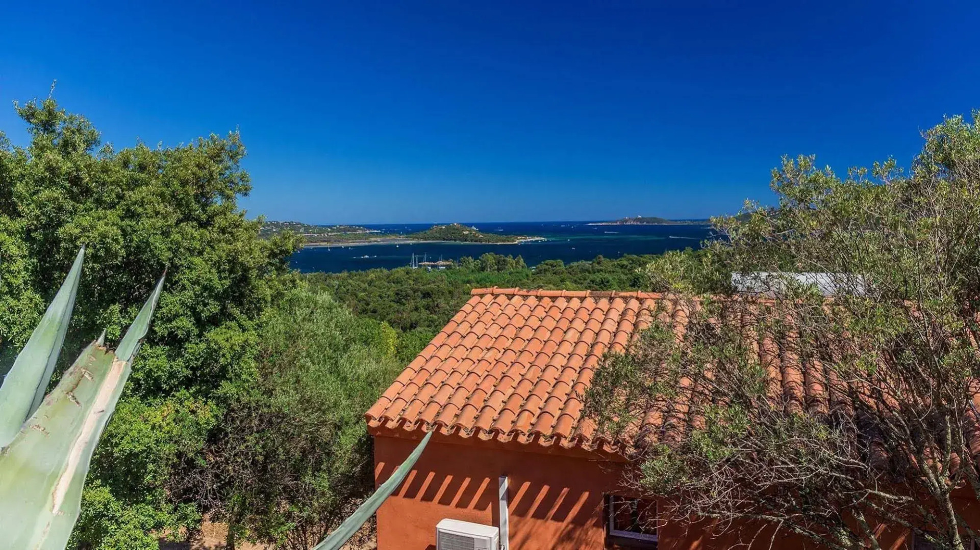 Residence Royal Palm