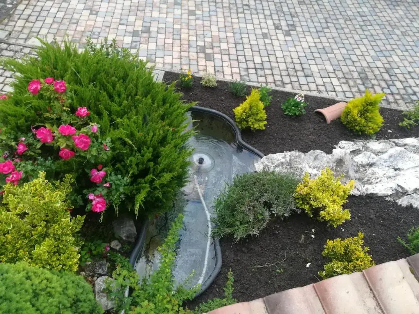 Appartamenti Turistici Aurora