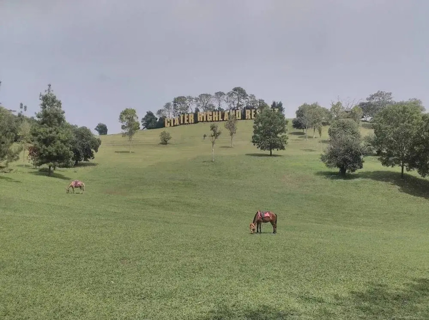 Tempat Nginap 2BR Ciater Highland Resort