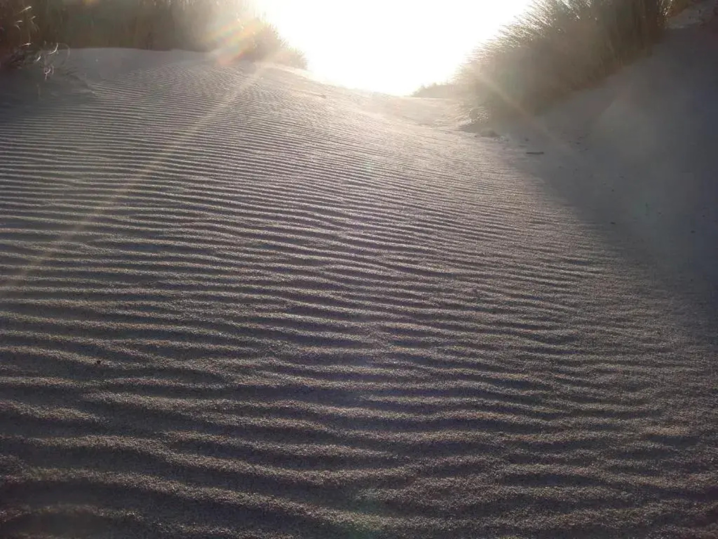 Double Bay Beach Hotel