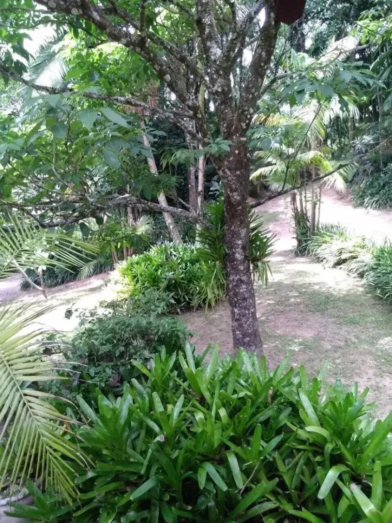 Sítio & Hospedagem Vistas de São Pedro