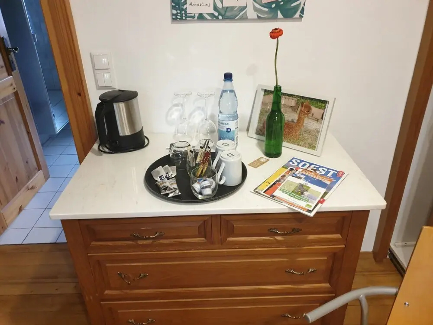 La Alqueria de las Alpacas - Alpakas am Ardey