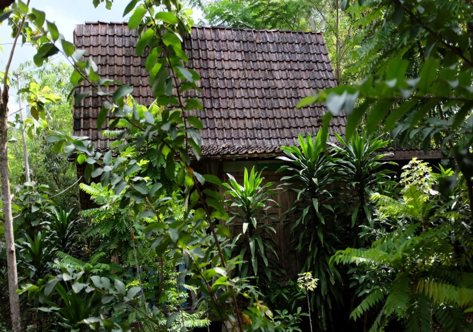 Patehan Villa Dewandaru