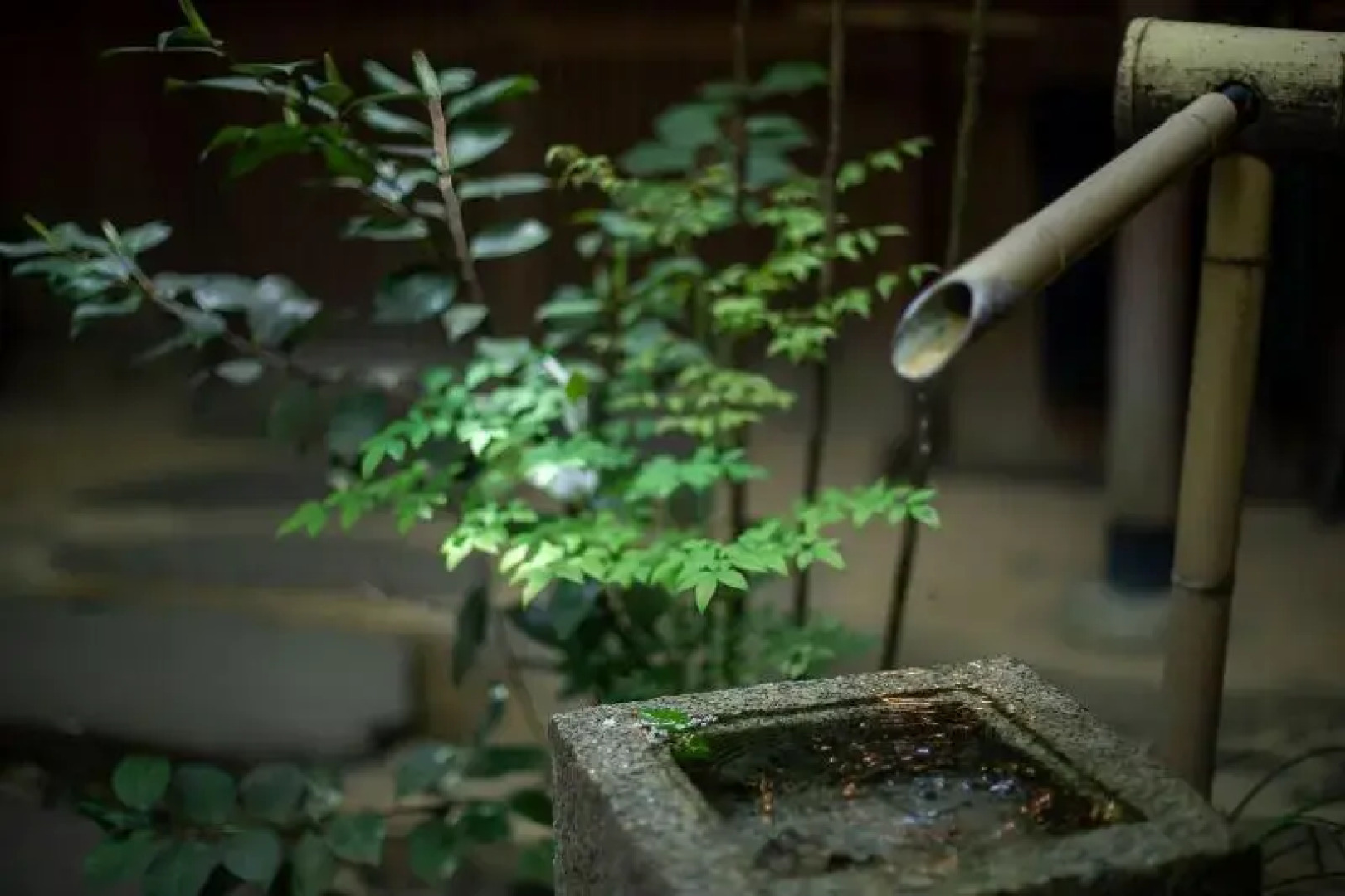 Yufuin Ryokan Ichizen