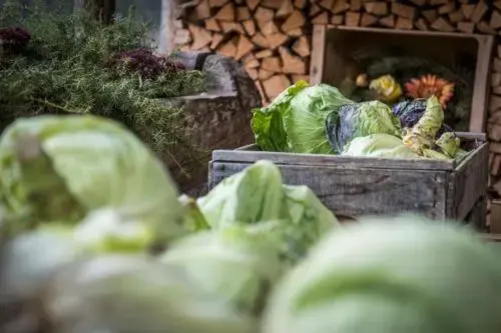 Agritur Ciasa Dò Parè