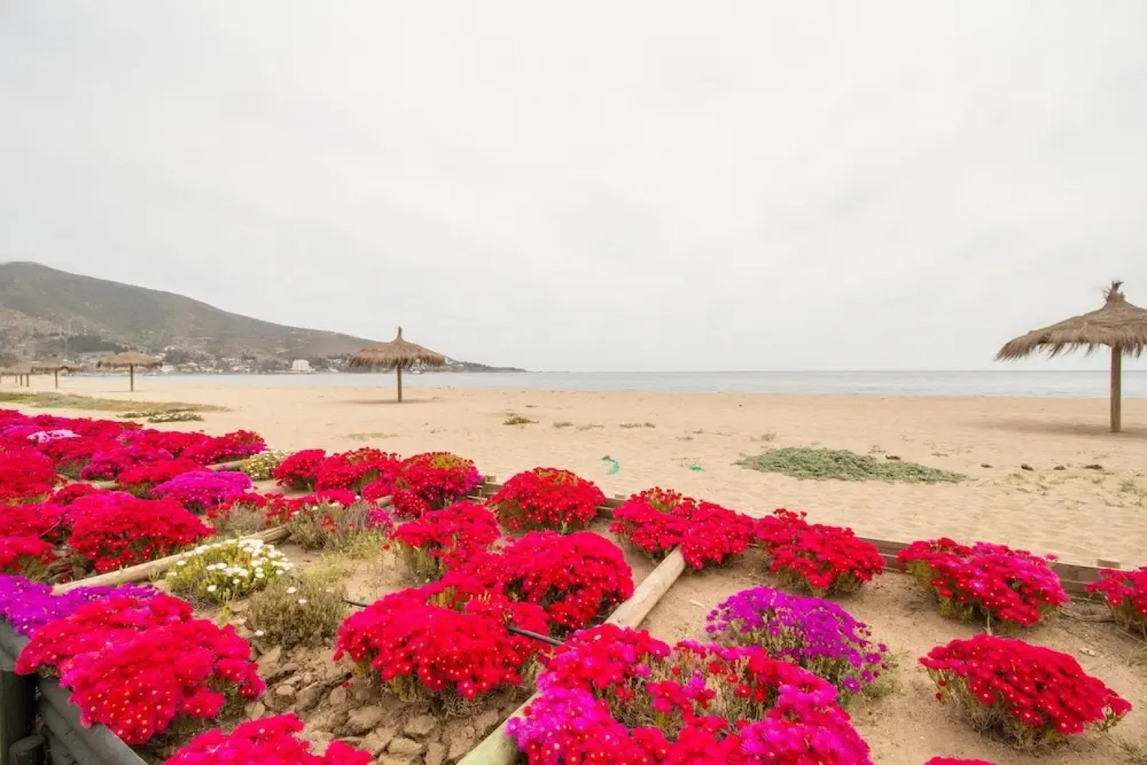 Condominio Papudo Laguna