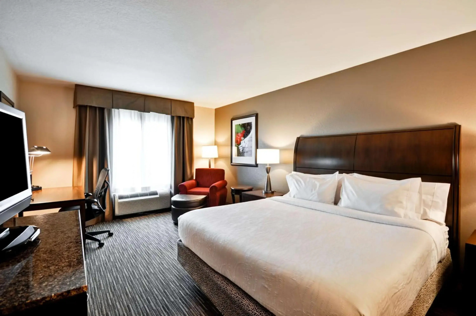 Hilton Garden Inn Tampa North Busch Gardens
