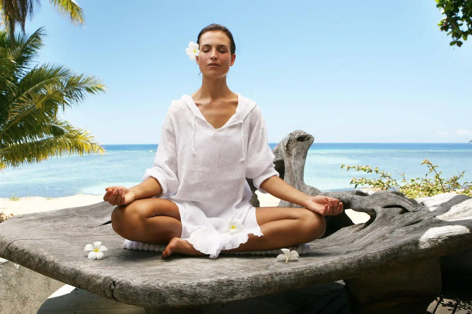 Naisoso Island Villas