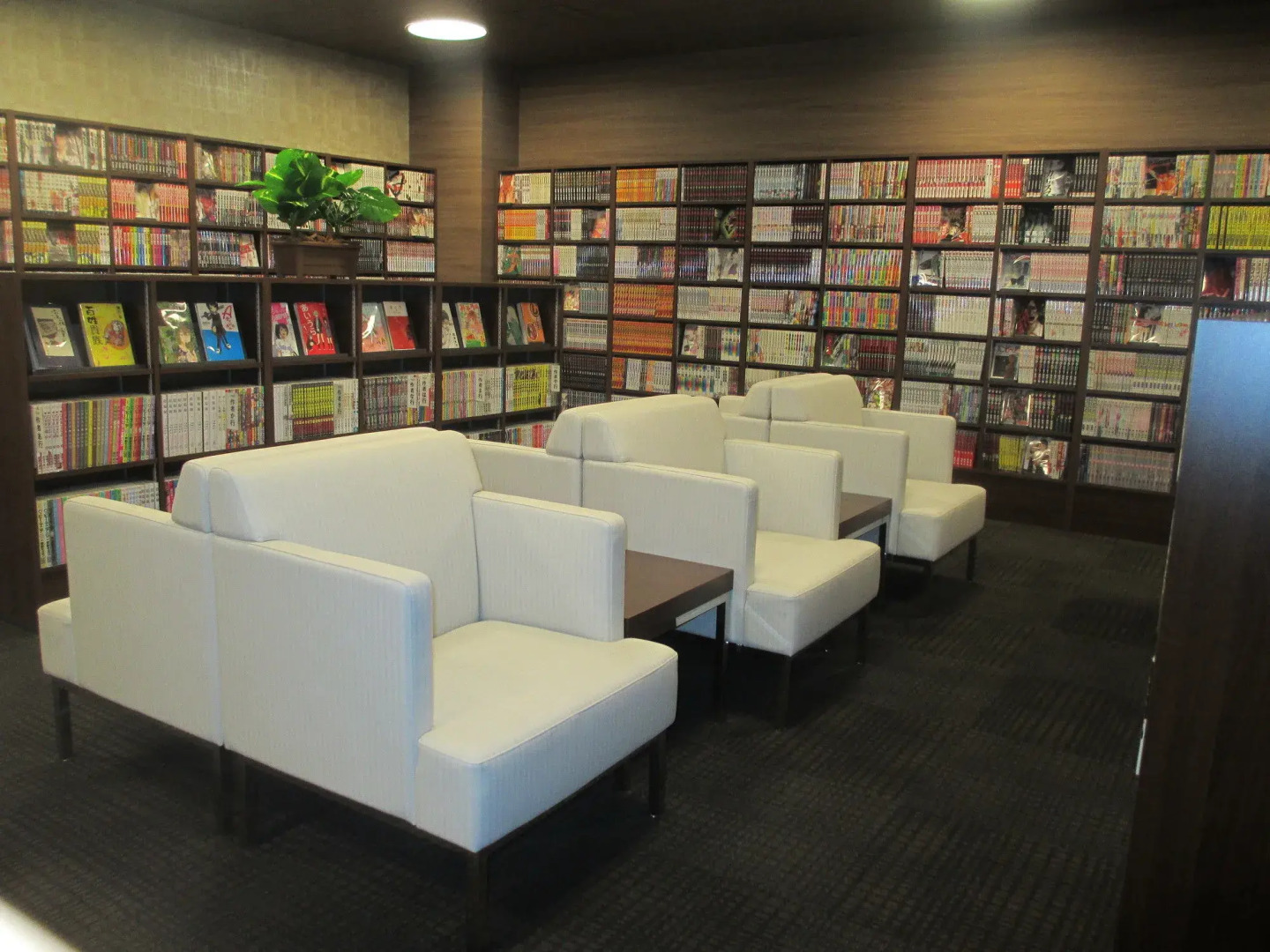 Himeji Castle Grandvrio Hotel