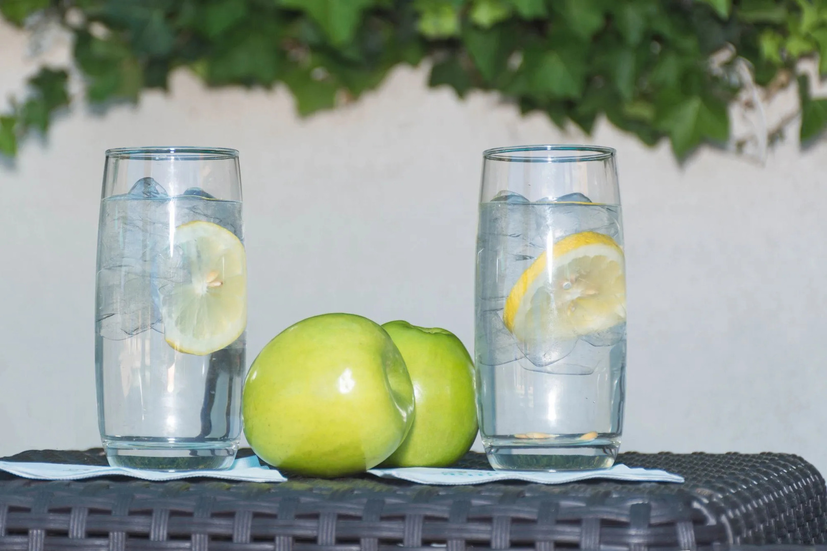 Forest Villas Hotel - Prescott