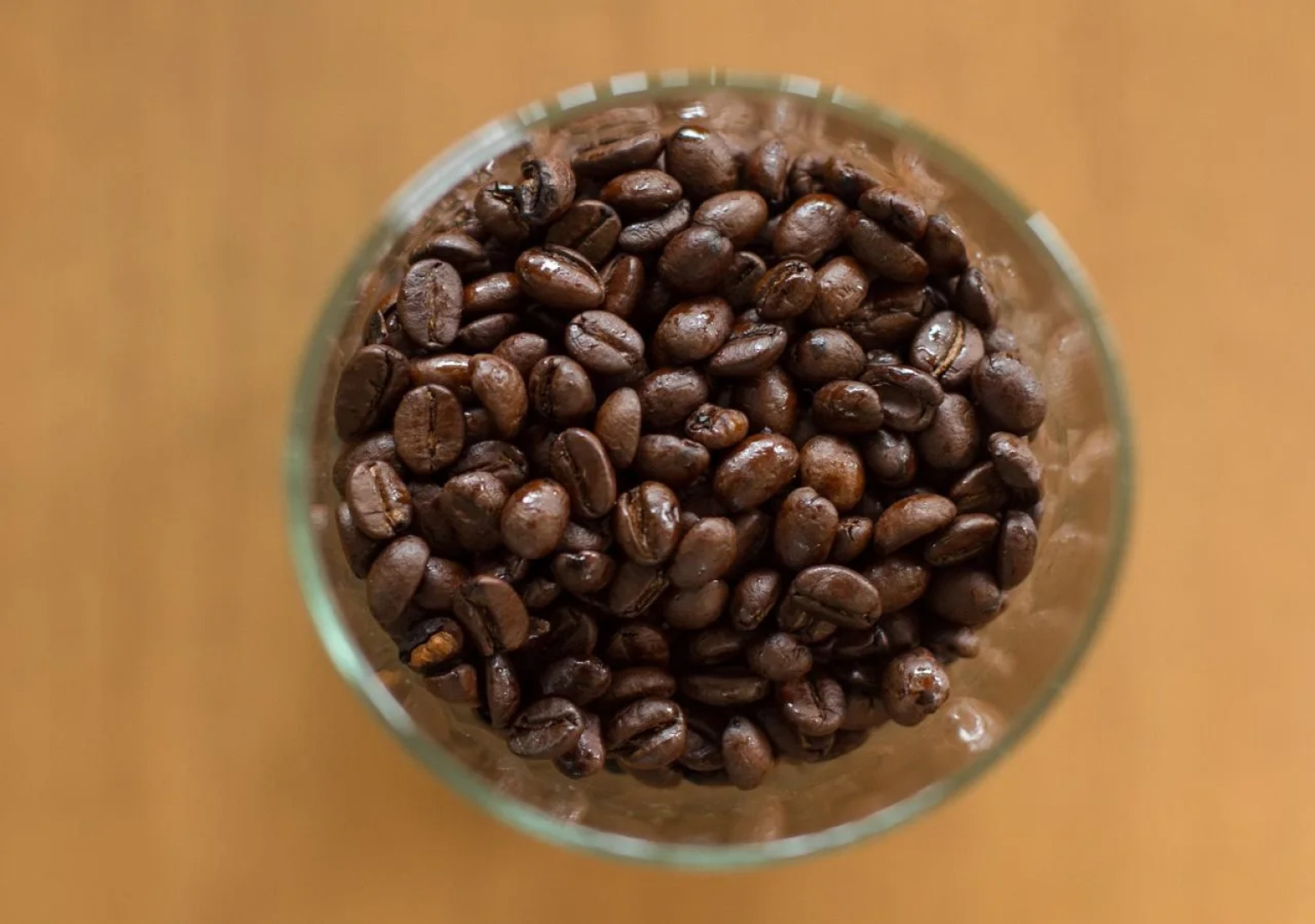 Sunny Hostel Chiangmai @Tha Pae