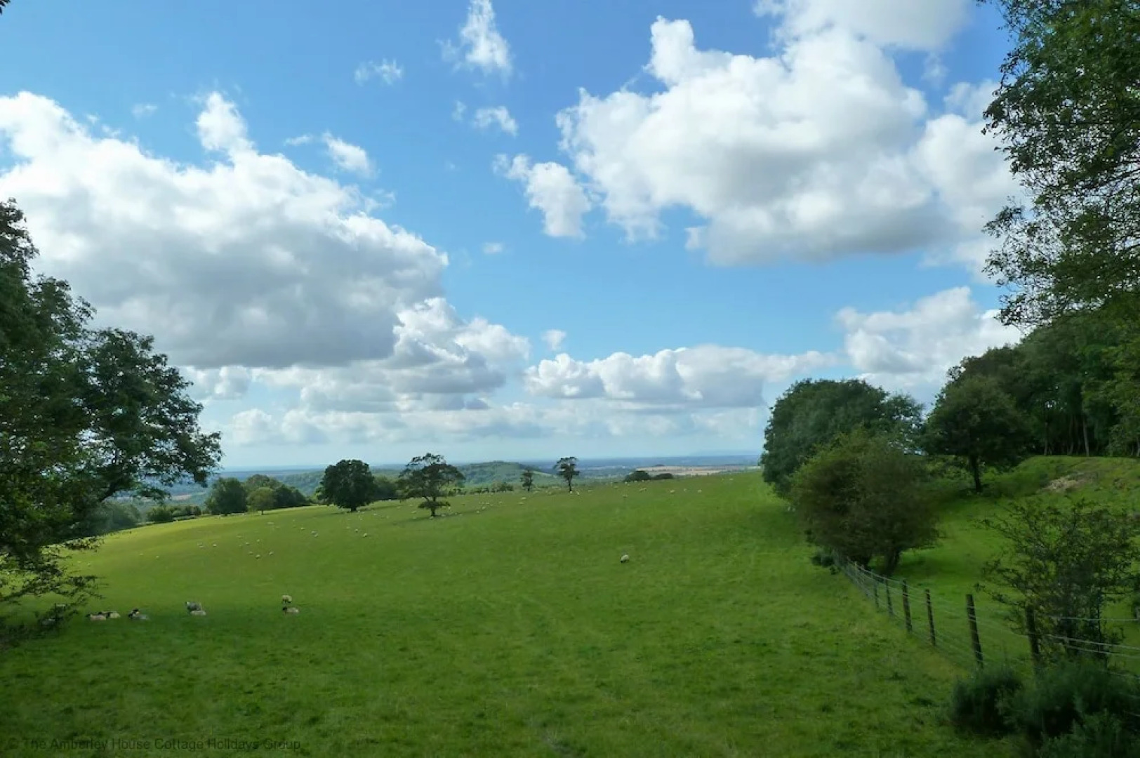 The Barn at Tillington