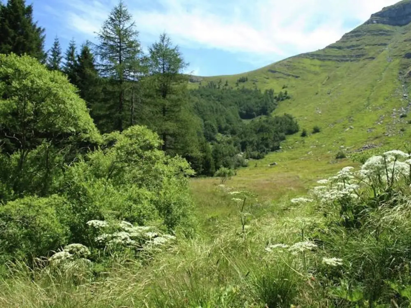 Serene Villa in Imola Amid the Forest