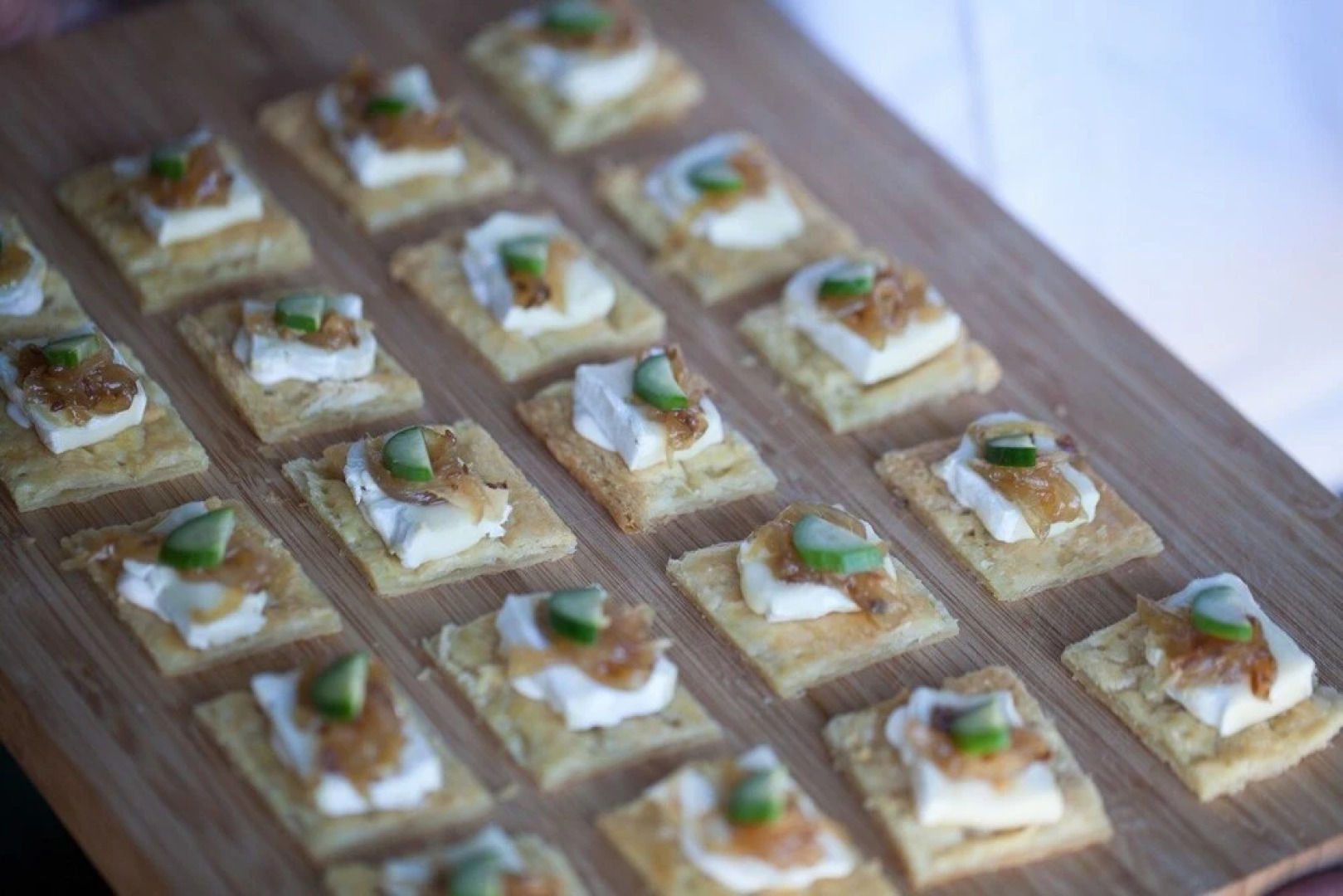 Chiefs - Namaqua Flower Camps