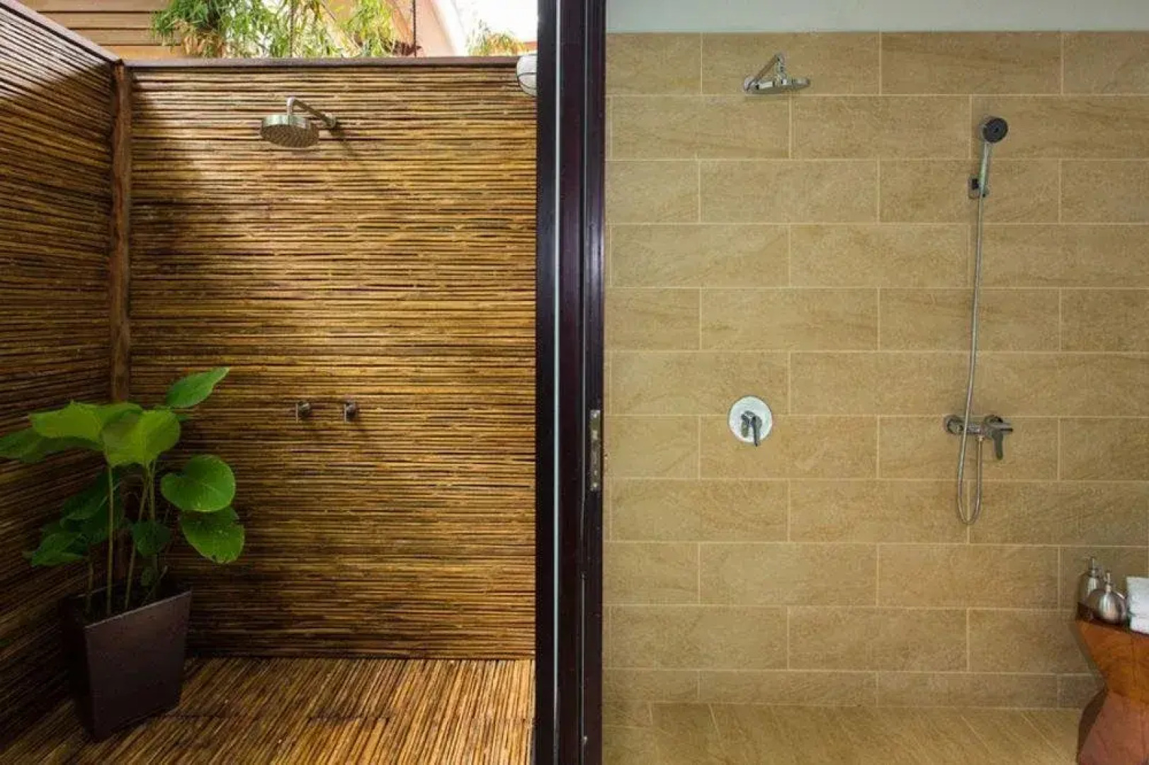 Isla Palenque Member of the Cayuga Collection