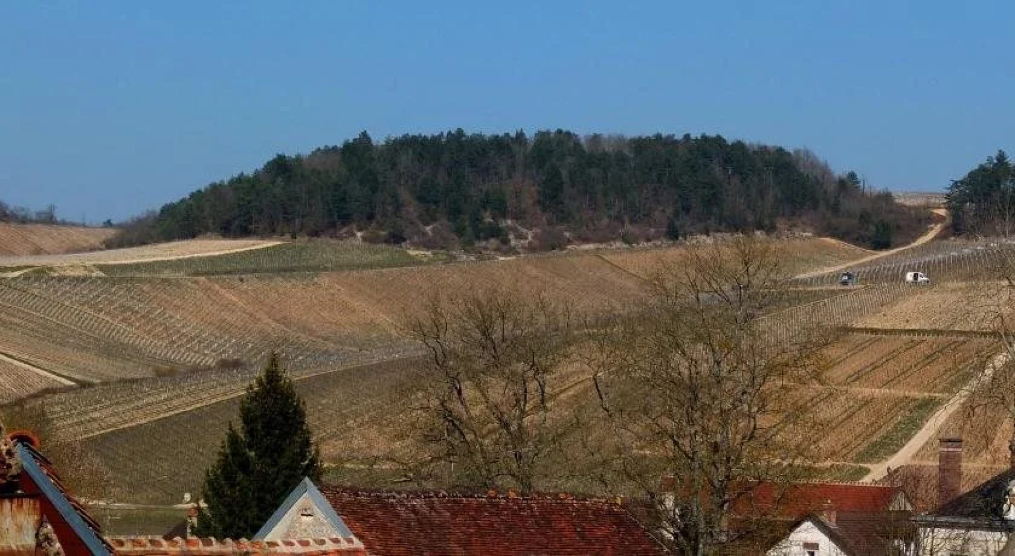 Les Vignes De Sarah