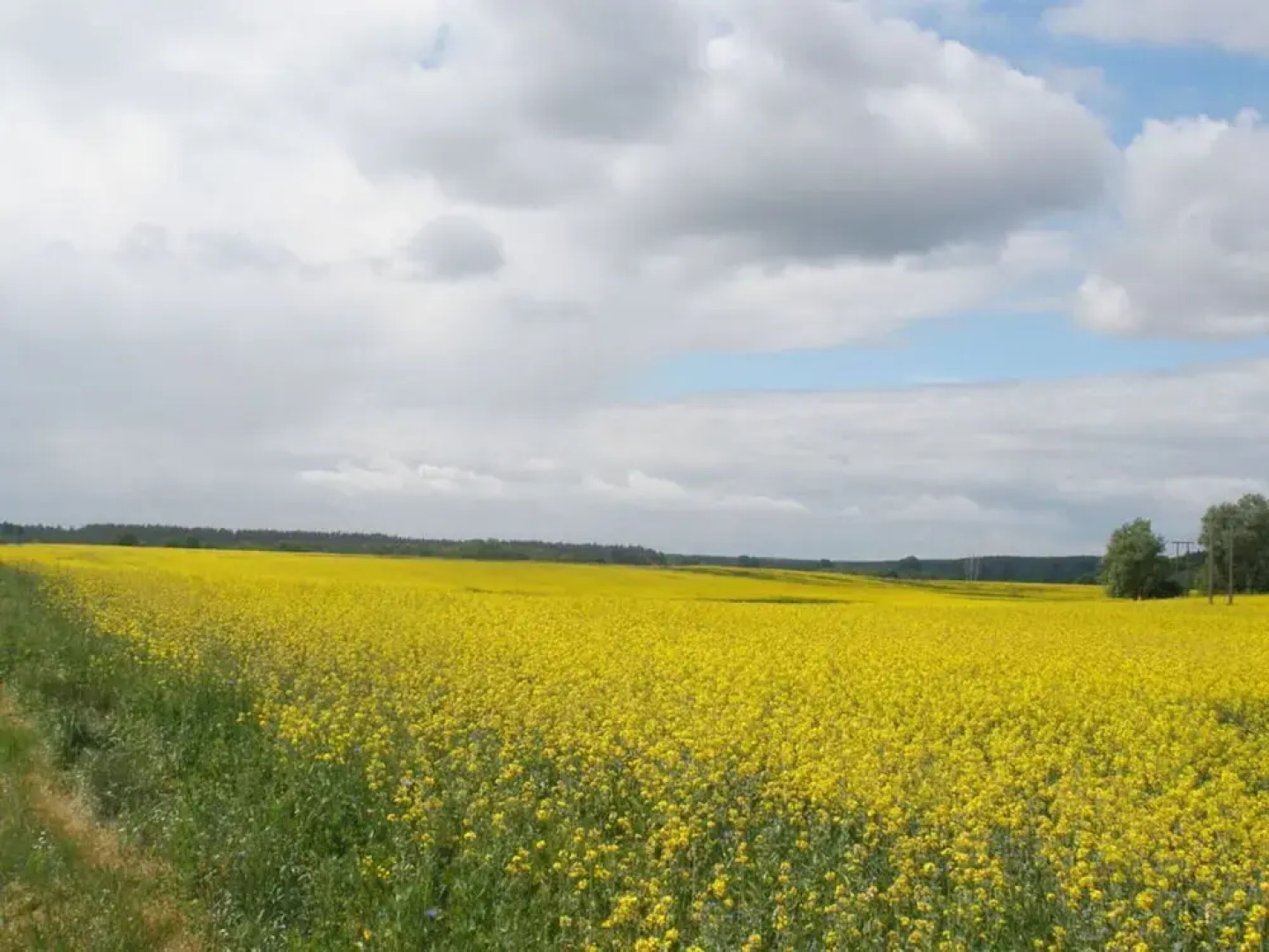 Pleasant Holiday Home Near Town Center