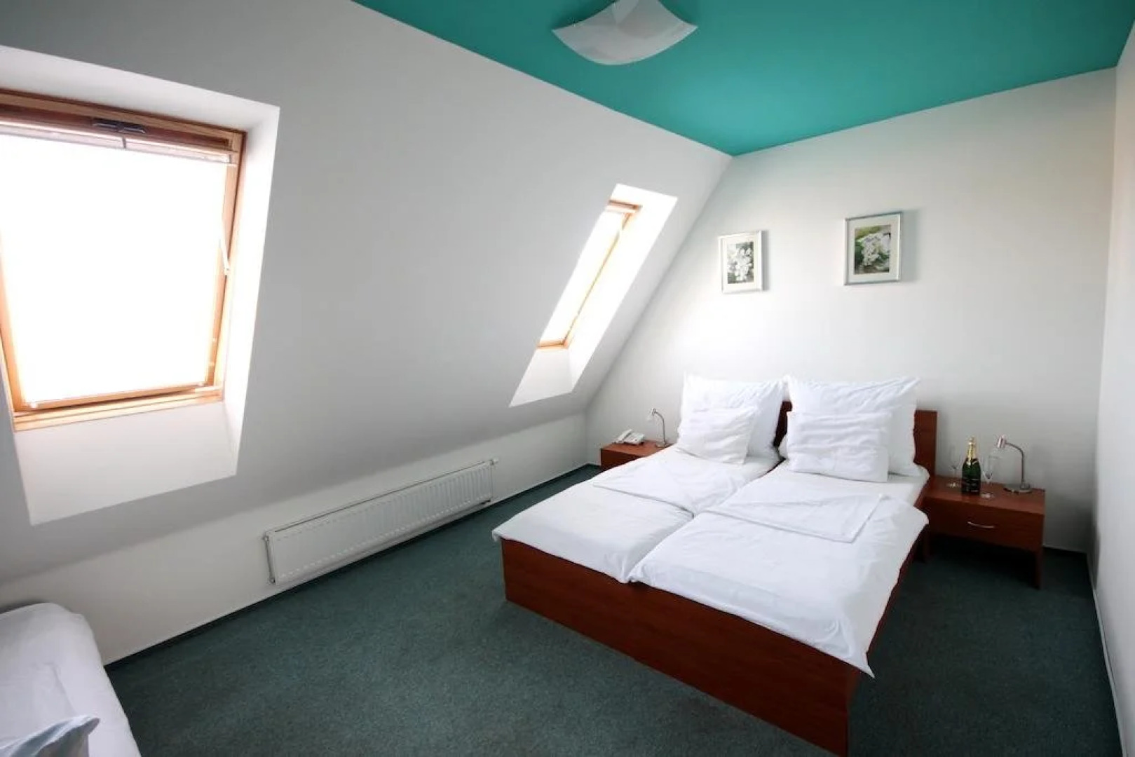 Active Wellness hotel U zlaté rybky