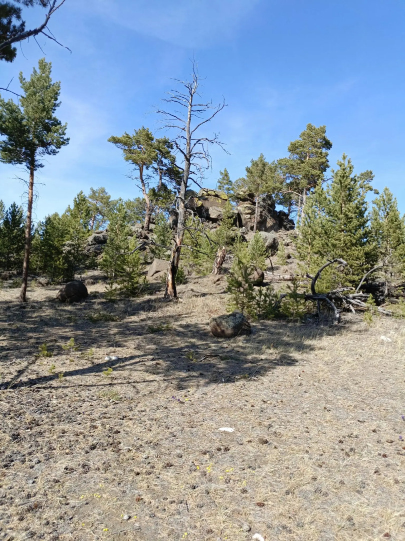 Дом на Центральной 19