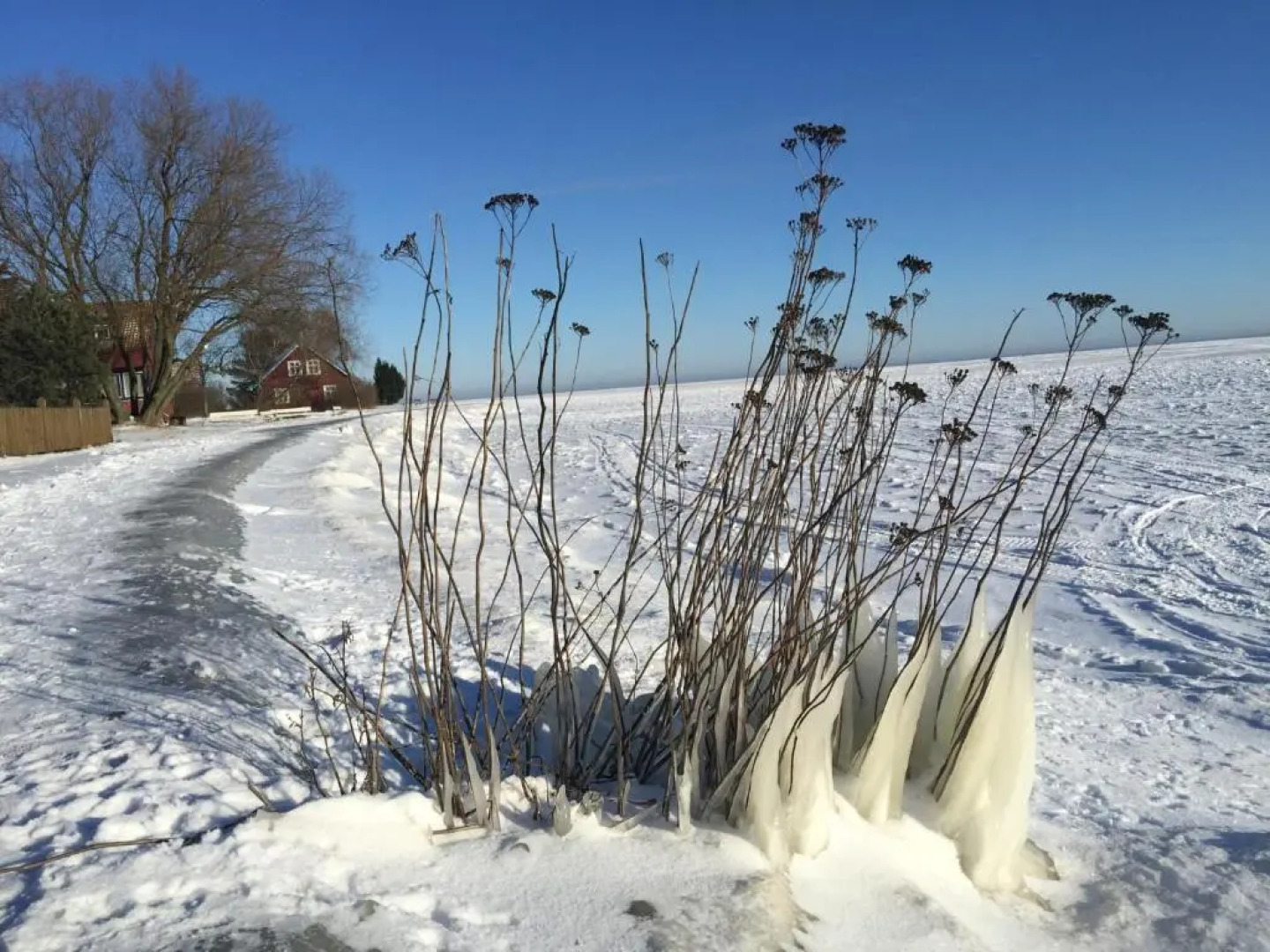 Stunning apartment with terrace