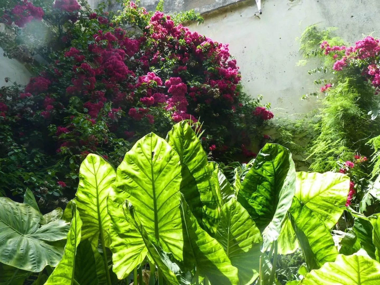 Casa Palacio Morla-Melgarejo