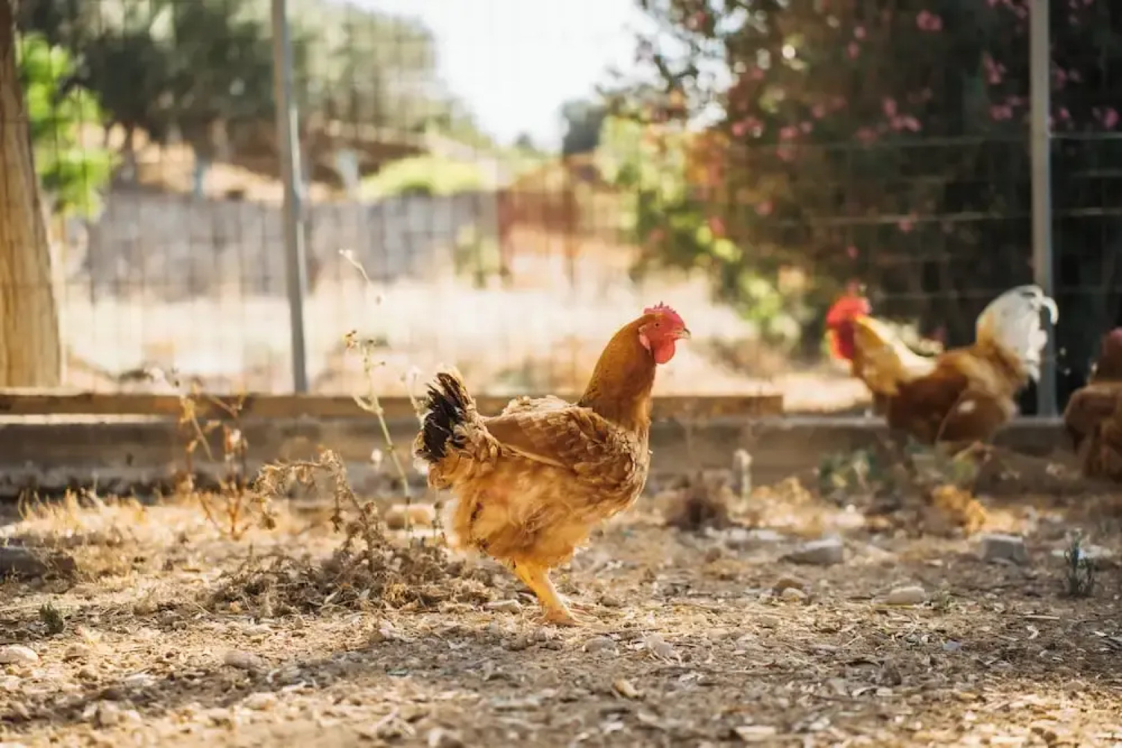 Terra Cassa Private Villa