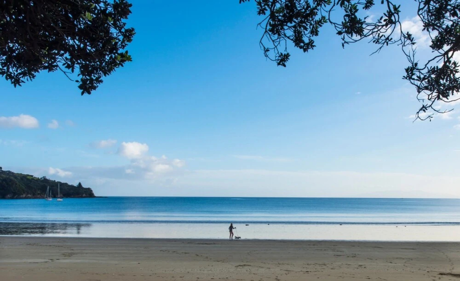 Newly renovated Oneroa beach view house