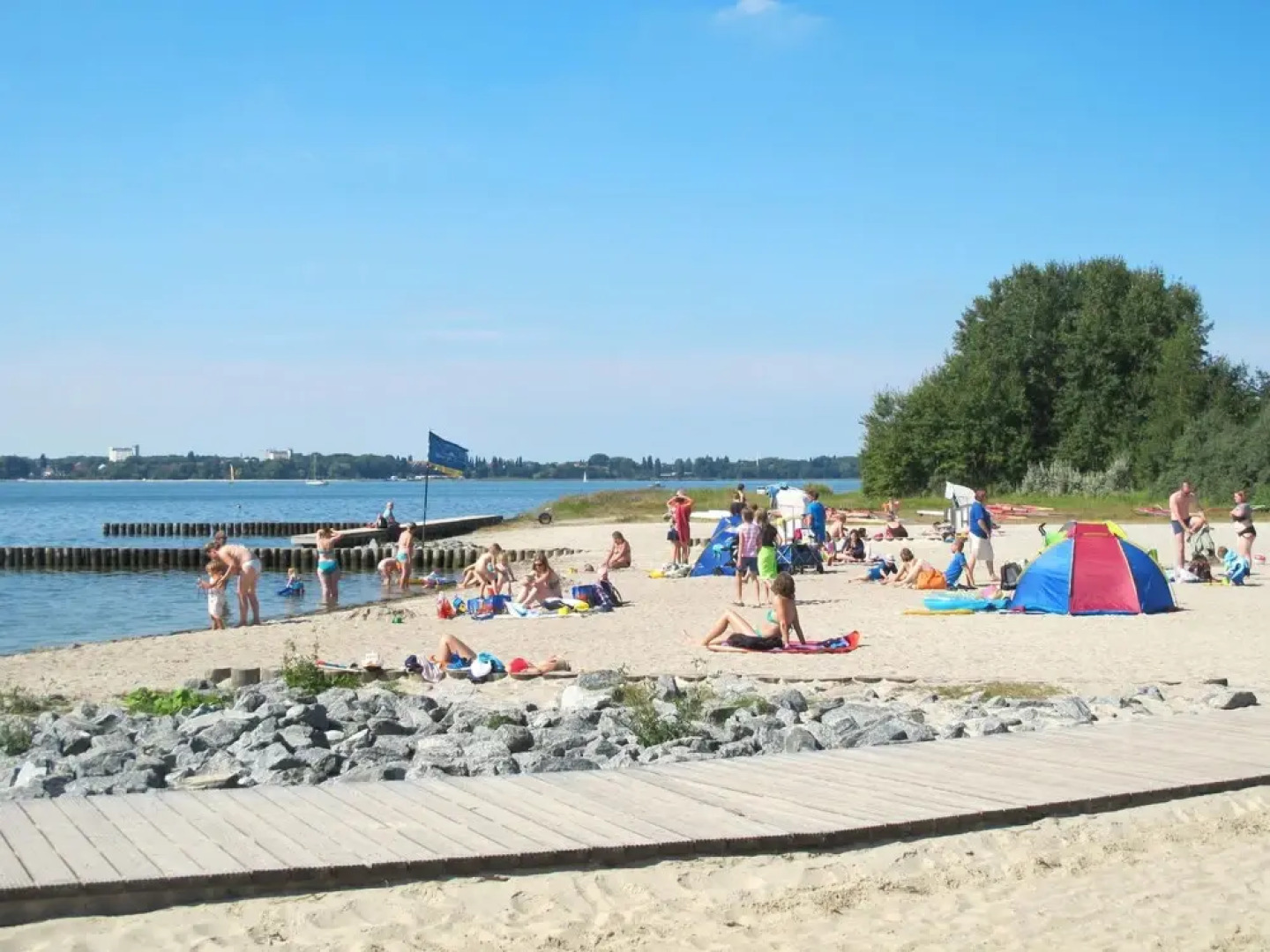 Sanddorn Altef hr in Altef hr