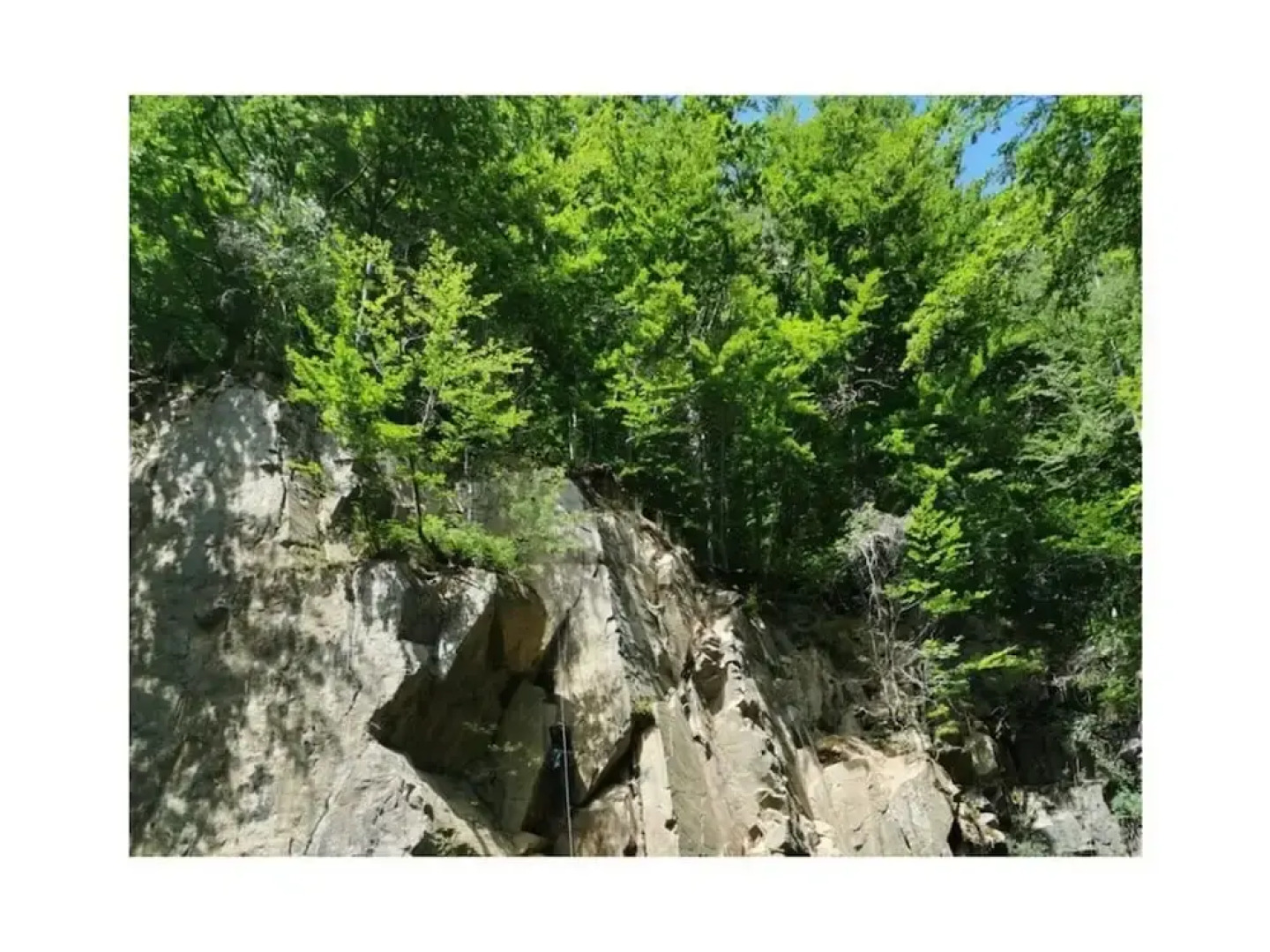 Panoramic View of Lake Harz
