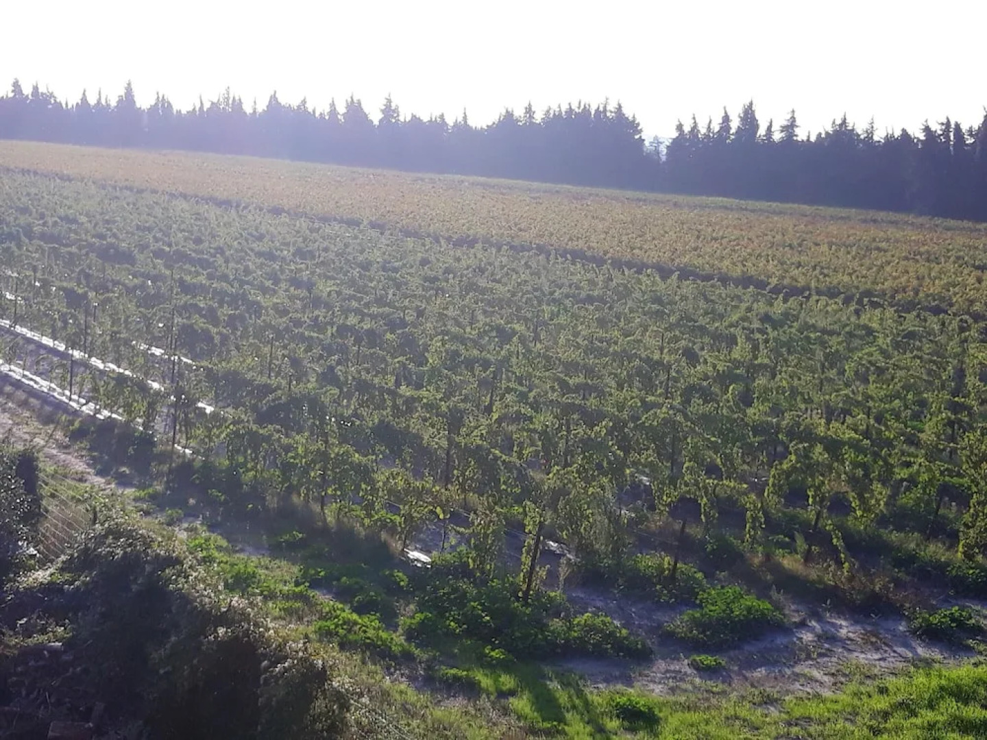 House with 2 Bedrooms in Pujaut, with Enclosed Garden And Wifi