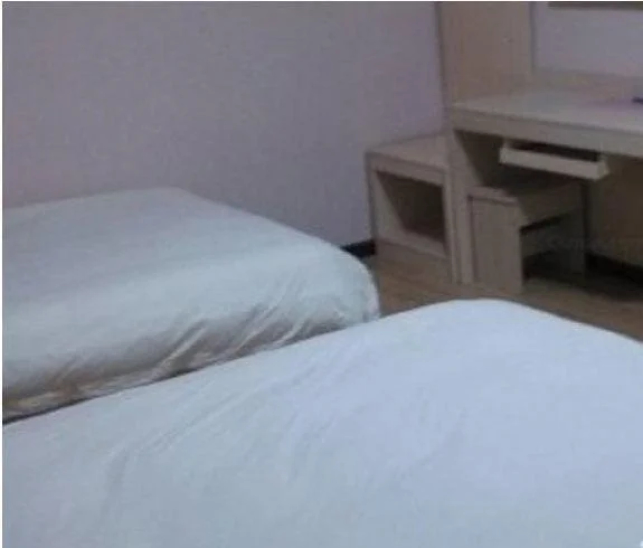 Wudangshan Tanluzhe Youth Hostel