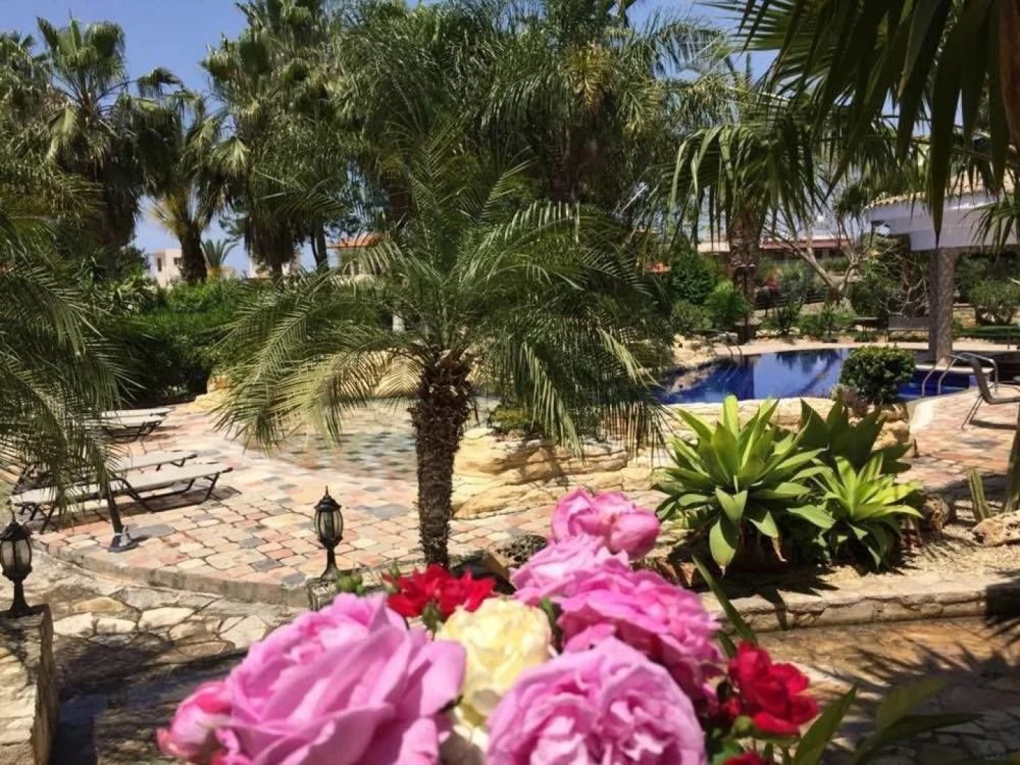 De Michanna Properties