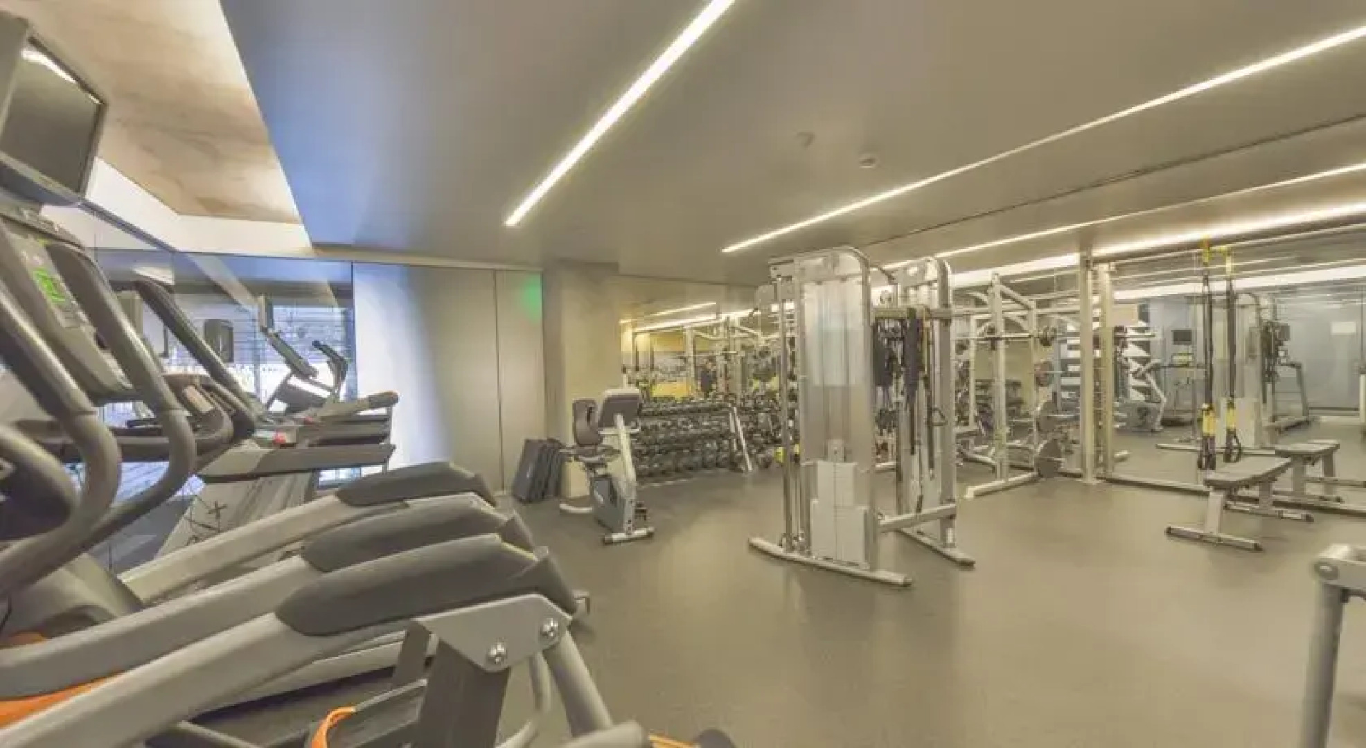 Indigo by Stay Alfred