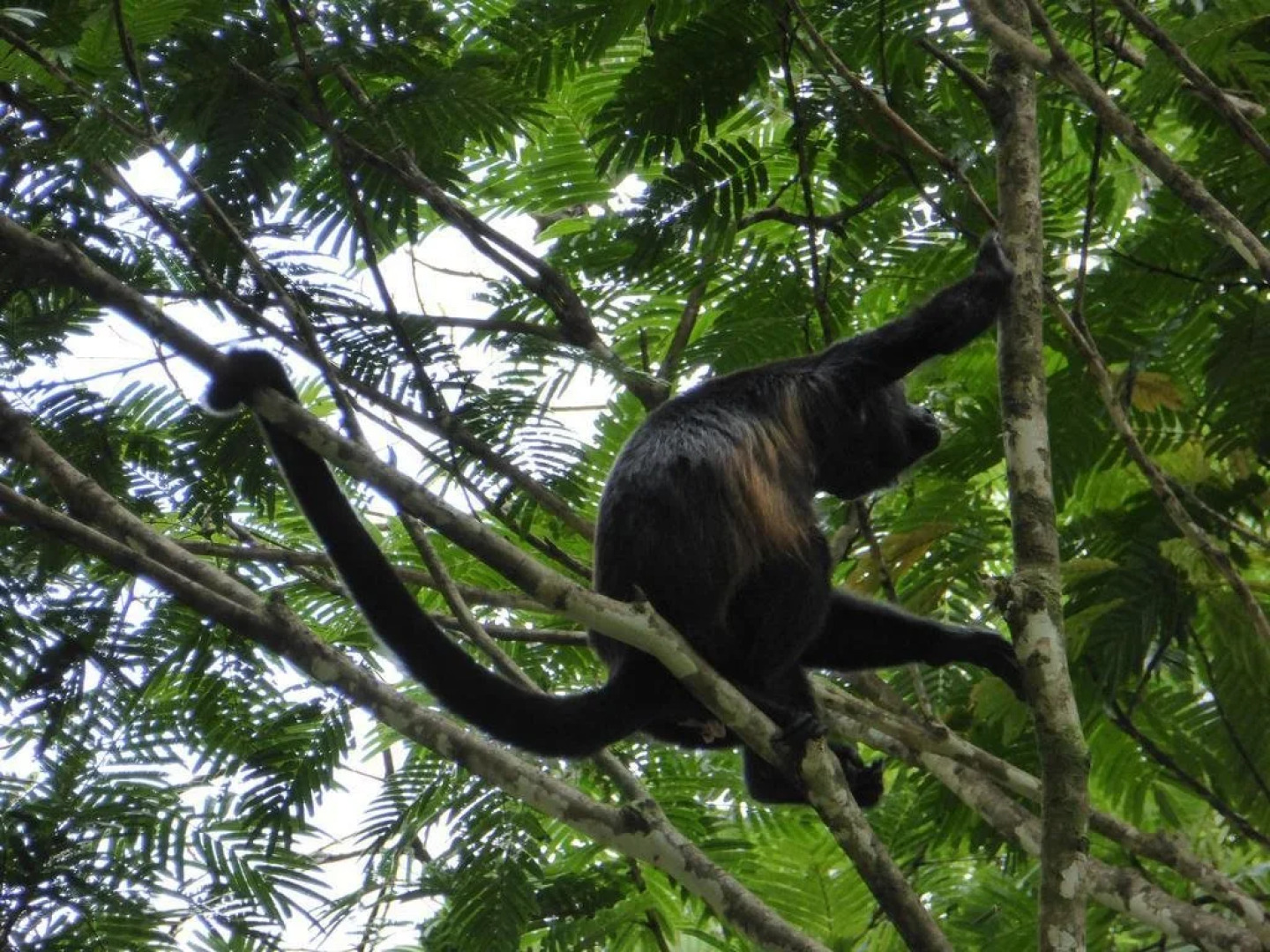 Blue Butterfly Hotel