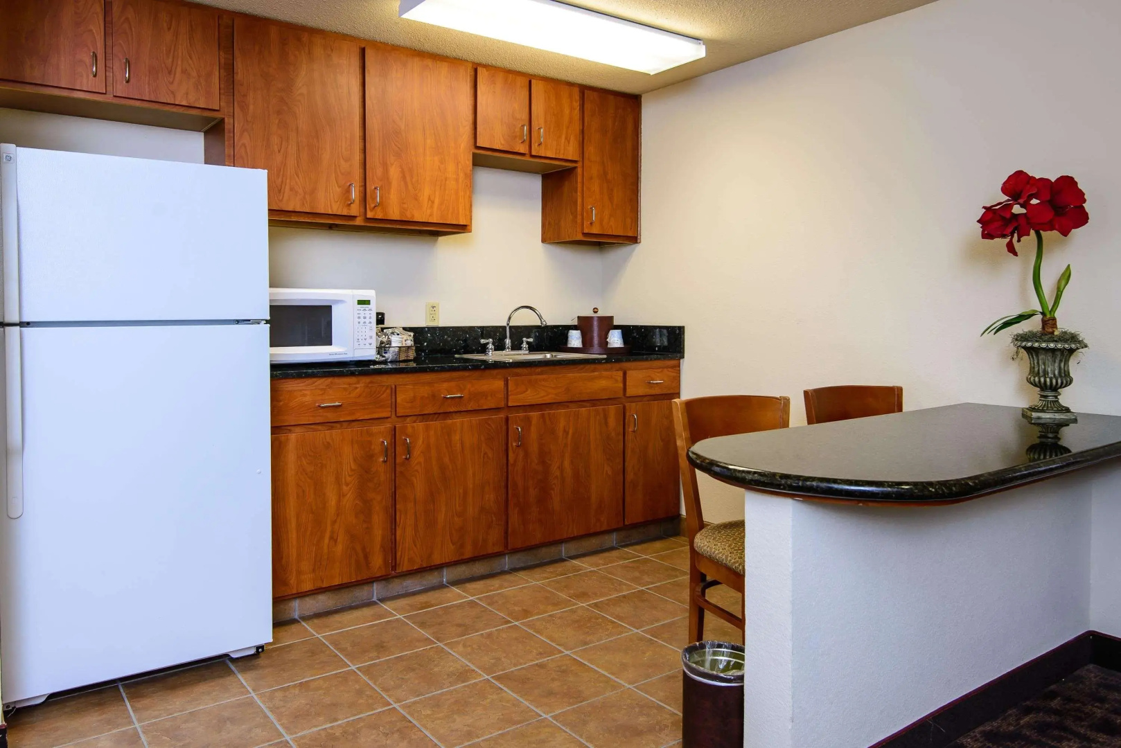 Hampton Inn Houston-Pearland