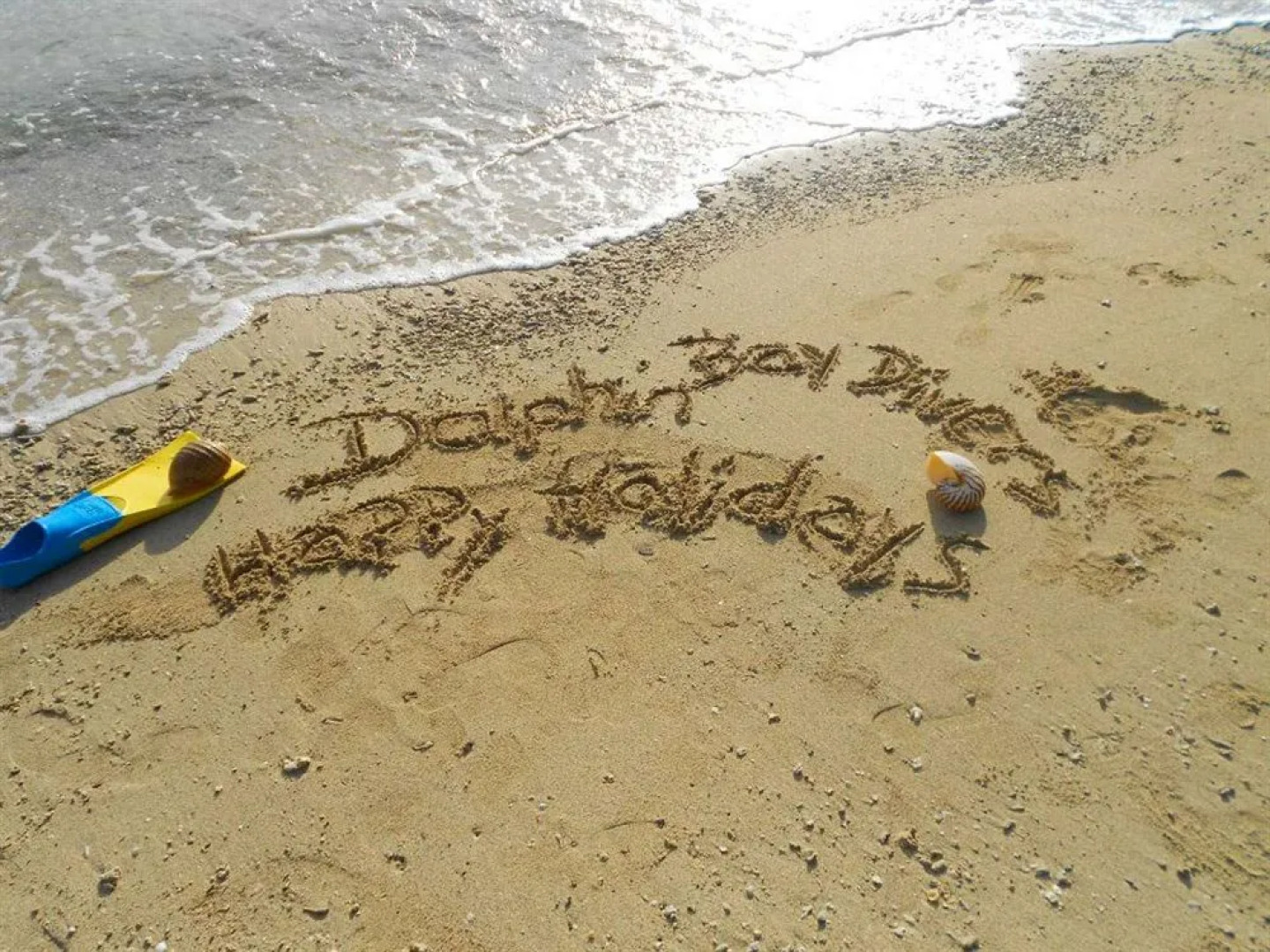 Dolphin Bay Divers Bungalow