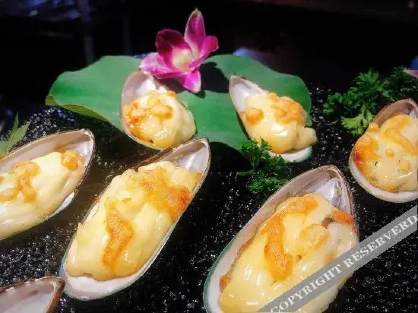 Forest Hot Springs Resort Hotel